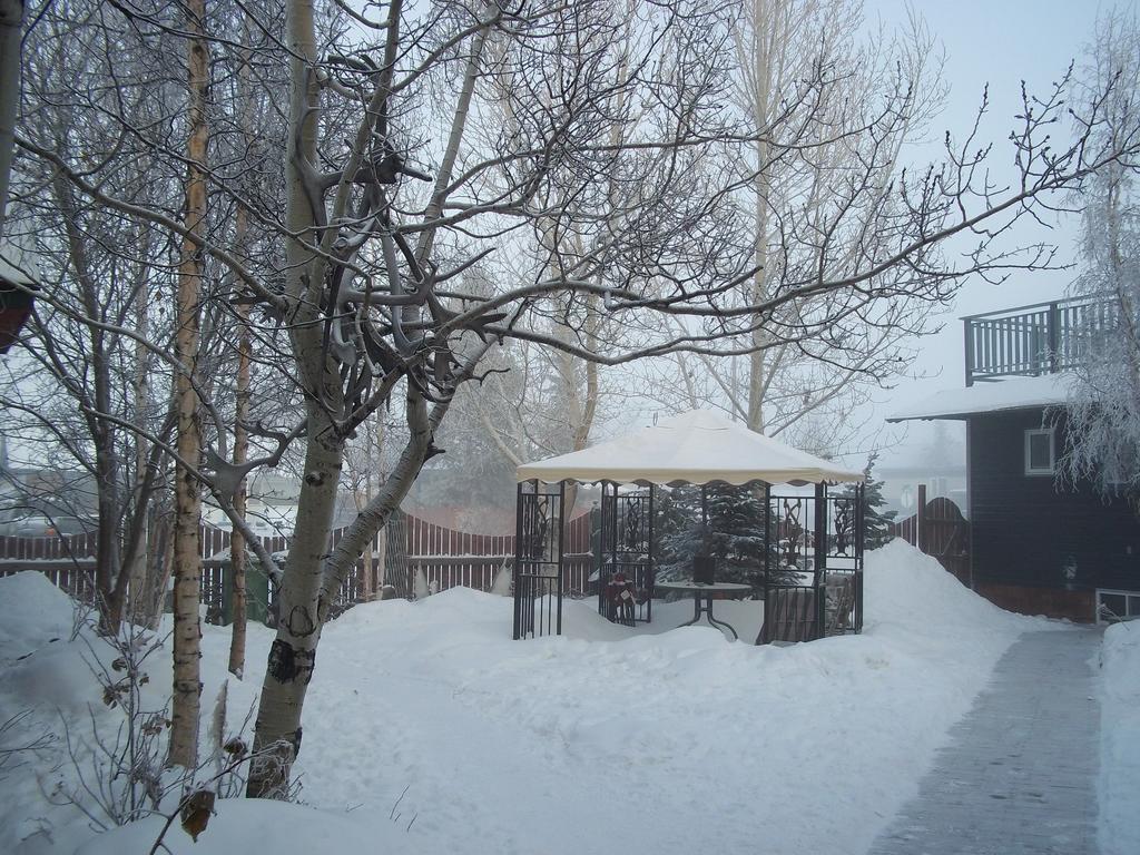 Historical Guest House Whitehorse Kültér fotó