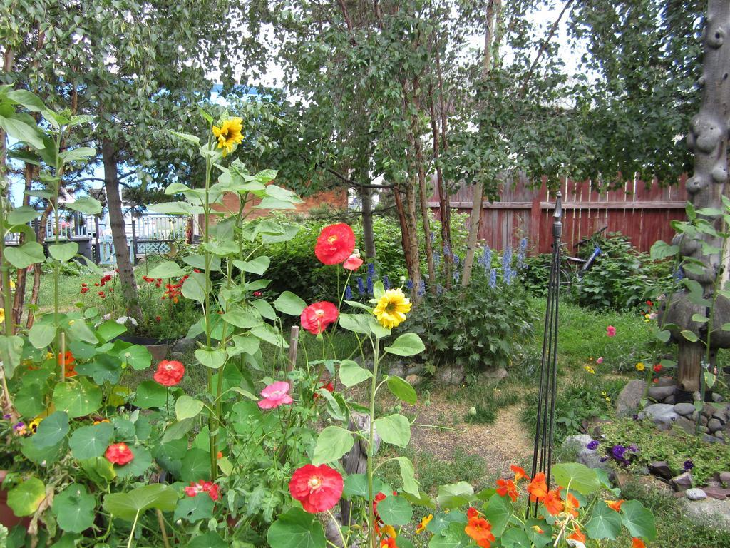 Historical Guest House Whitehorse Kültér fotó