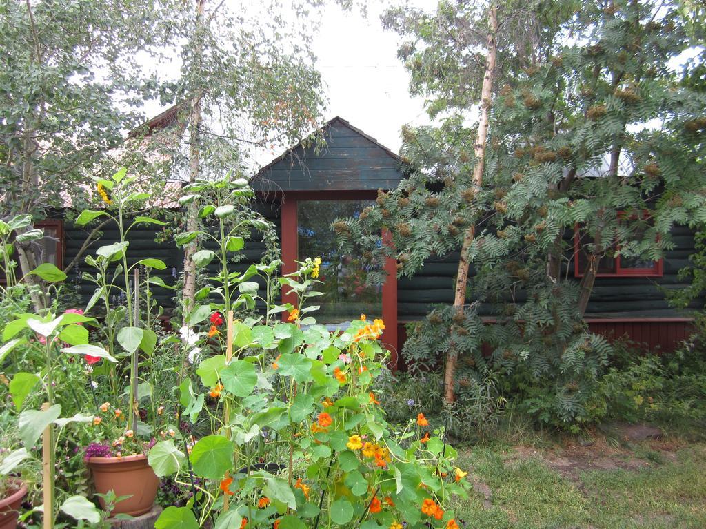 Historical Guest House Whitehorse Kültér fotó
